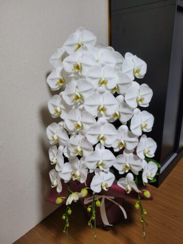 素敵はお花を頂きました